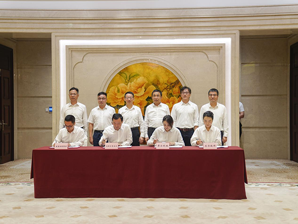 图片11.png